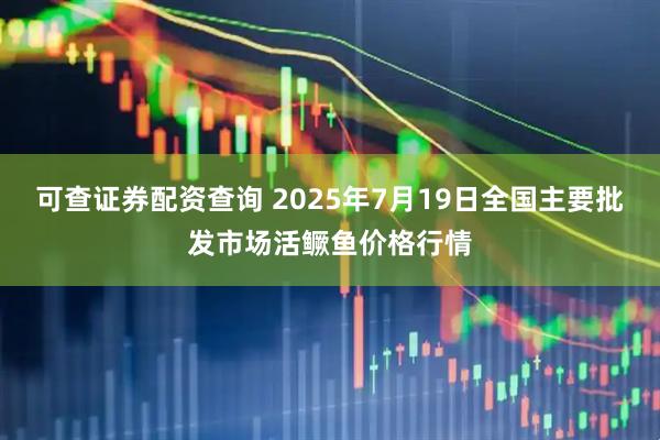 可查证券配资查询 2025年7月19日全国主要批发市场活鳜鱼价格行情