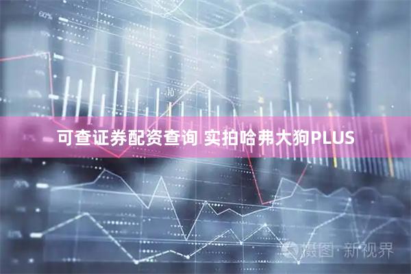 可查证券配资查询 实拍哈弗大狗PLUS
