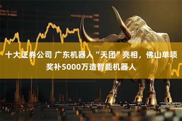 十大证券公司 广东机器人“天团”亮相，佛山单项奖补5000万造智能机器人