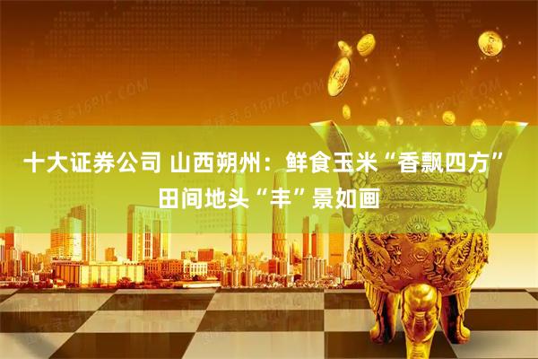 十大证券公司 山西朔州：鲜食玉米“香飘四方” 田间地头“丰”景如画