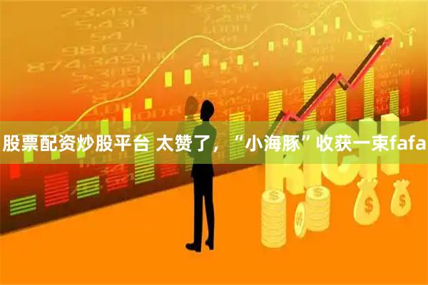 股票配资炒股平台 太赞了，“小海豚”收获一束fafa