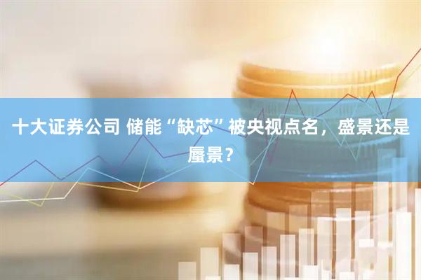 十大证券公司 储能“缺芯”被央视点名，盛景还是蜃景？
