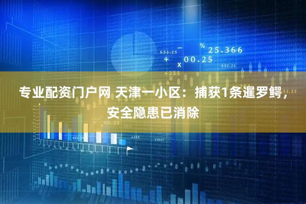 专业配资门户网 天津一小区：捕获1条暹罗鳄，安全隐患已消除